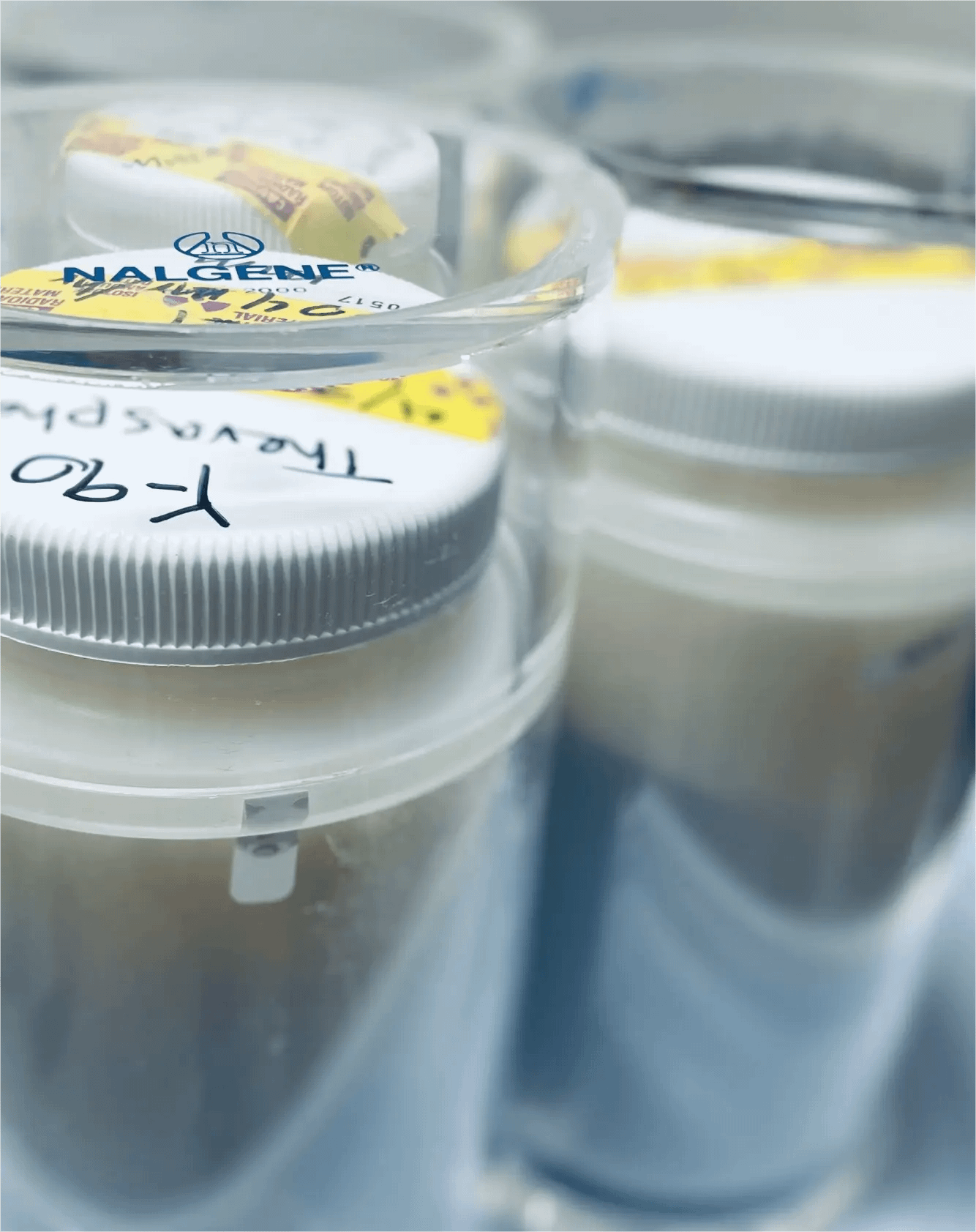 Materials in safety containers
